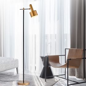 Stery Matte Black & Gold 1-Light Metal Cone Shade Floor Lamp