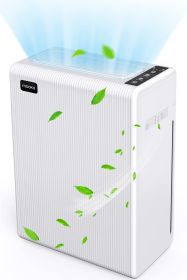 Air Purifiers for Large Room